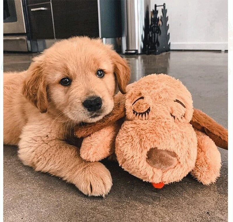 Calming Dog Toy With A Heartbeat