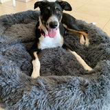 Premium Pet Calming Bed