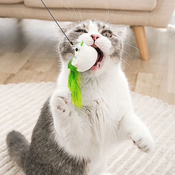 Interactive Bird Simulation Cat Toy